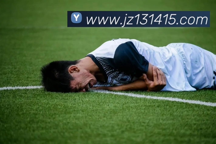 九州娱乐官网平台平台生态图